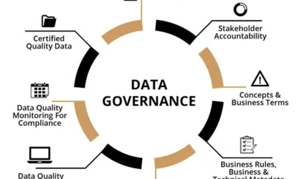 Data Governance Analyst